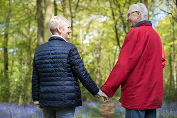 Rear View Of Senior Couple Walking Hand In Hand Through Bluebell Wood