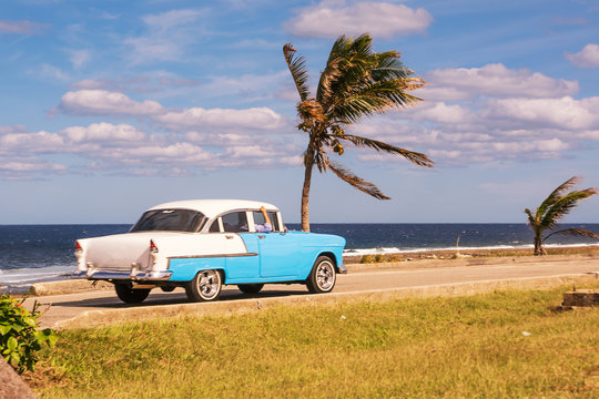 Old car and palm trees on the waterfront in Cuba