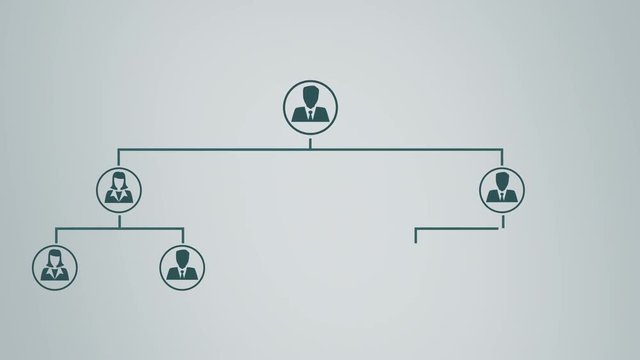 organization chart concept
