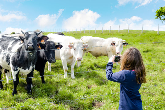 enfant prenant les vaches en photo