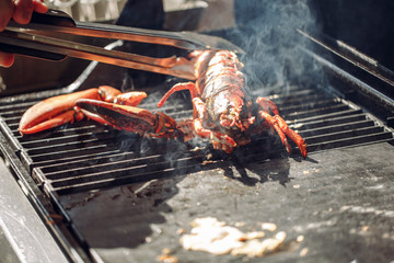 grill giant fresh water lobster bbq, no claws. Sea food.