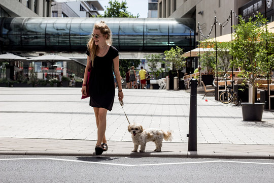 happy woman with dog shopping in the city in summer