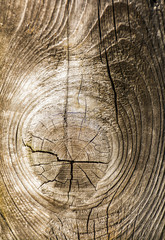 Fototapeta premium The structure of the old tree. Boards unsuitable for construction. Wood waste.