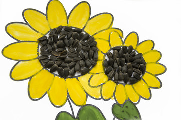 Hand-made picture of lovely sunflower. Painted with yellow and green gouache and glued black seeds....