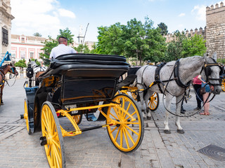 Horse carriage in Seville, Andalusia, Spain.