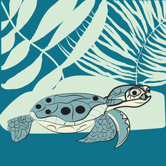 May 23 - World Turtle Day