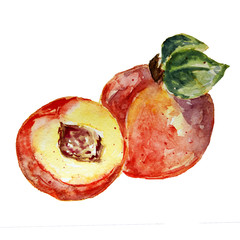 Delicious watercolor peaches isolated on a white background