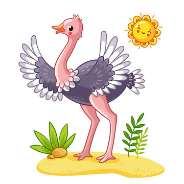 Cute ostrich stands on the meadow. Vector illustration in a cartoon style.