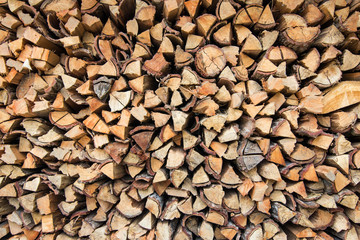 Stacks of firewood in the forest.