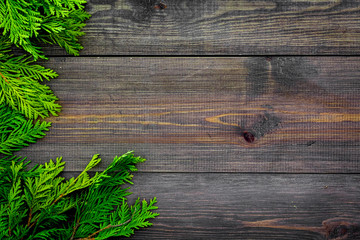 Juniper frame for poster or design. Juniper branches on dark wooden background top view copy space