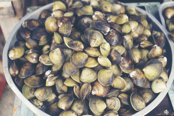 seafood in market