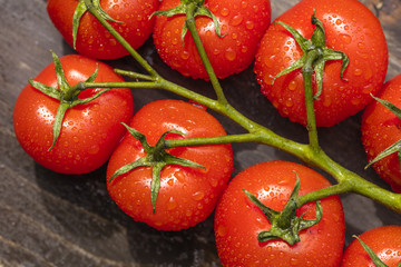 Ripe Tomato branch on the table, close-up. Water drops