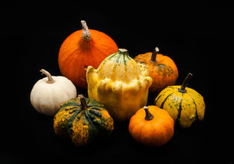Colorful pumpkin and squash, Red Kuri