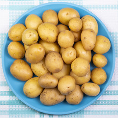 Fresh potatoes lie on a plate of turquoise color. The background is a white and turquoise tablecloth. Top view.