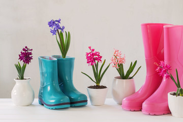 rubber boots and spring flowers on white background