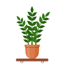Fototapeta na wymiar Indoor gerb on shelf isolated on a white background. Houseplant in a pot in flat style. Living room design decoration element.