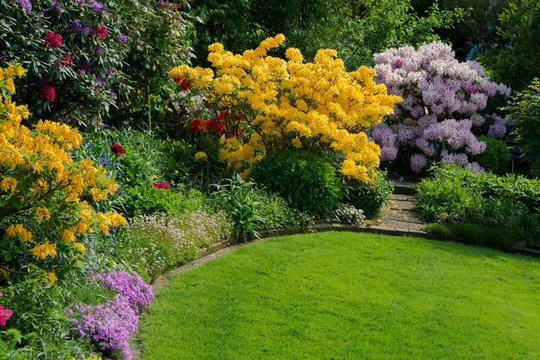 Gartenanlage mit Azalee und Rhododendron