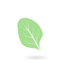 Flat leaf icons. Vector illustration.