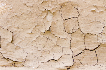 Cracked ground background texture. Dry land