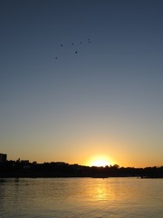 Beautiful City Skyline with Flying Balloons on Sky Seen During Sunset over Vistula River, Warsaw, Poland