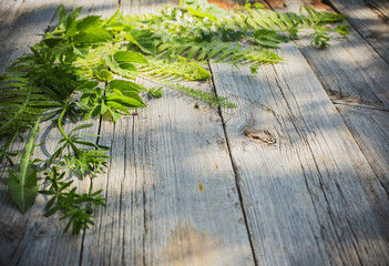 green leaves on old wooden background