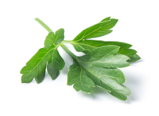Parsley herb isolated on white background.