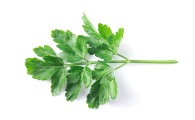 Parsley herb isolated on white background.