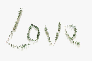 Word "Love" made of eucalyptus branches on white background. Valentine's Day composition. Flat lay, top view, copy space