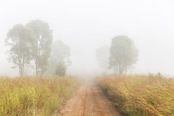 Fototapeta na wymiar Fog over country road, Queensland, Australia
