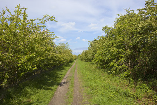 Kiplingcotes nature walk