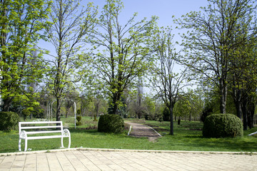 White benches in the park. Beautiful park with white benches along the road.