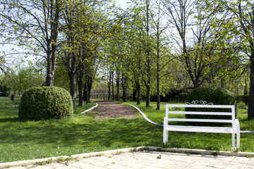 White benches in the park. Beautiful park with white benches along the road.