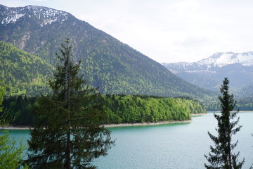 Very blue lake in the mountains of Bavaria in Germany with forrest