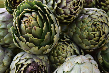 Fototapeta premium Artischocken Haufen