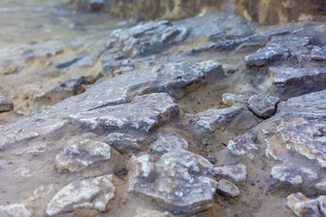 archaeological excavations, remains of the settlement, the scythians fossils