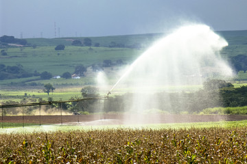 irrigation system watering a farm field of corn and soy, in Brazil