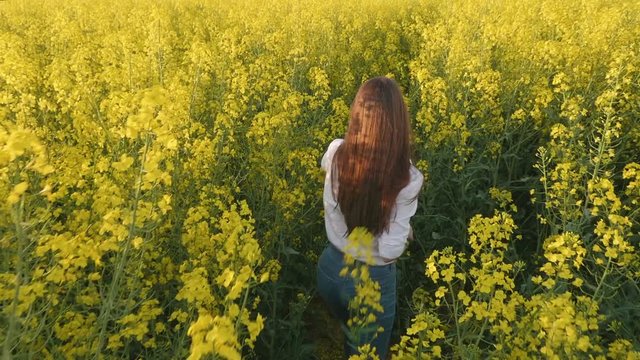 Rear view portrait of young girl going in colza field. Slow motion