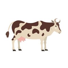 Cute cow on white background.