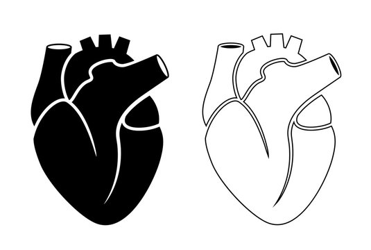 Black silhouette icon of human heart