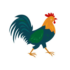 Cute rooster on white background.