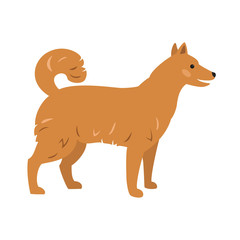 Cute dog on white background.