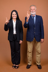 Mature multi-ethnic business couple against brown background