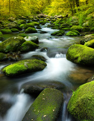 slowing water sown a stream with rocks and moss