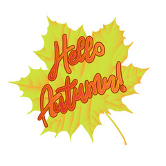 composition of autumn leaves Isolated on a white background without a shadow.Vector illustration. Eps 10.