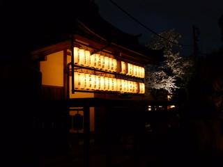 japananse lampoons night