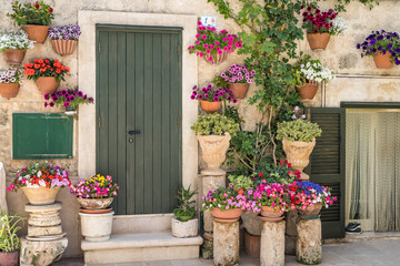 Fototapeta na wymiar flower pots at entry puglia italy