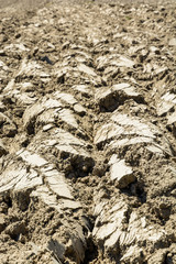 Close-up view of the turned over earth and furrows dried by the sun on a plowed land.