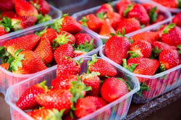 Many fresh strawberries in boxes for sale at a fruit market outdoors. Selective focus