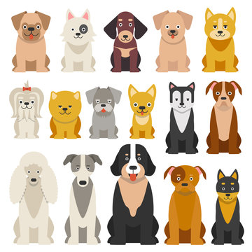 Different funny dogs in cartoon style isolated