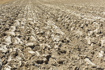 Deep furrows dried by the sun on a plowed land.